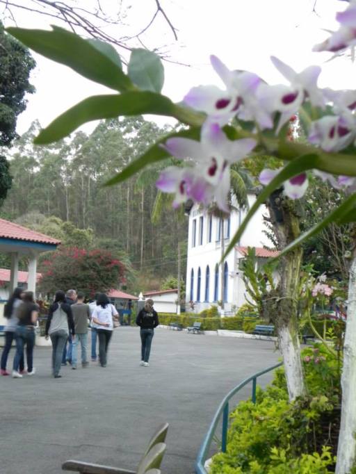 Lar Abrigo Amor a Jesus - Visita de alunos do Polo EAD de Nova Friburgo - 11