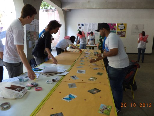 Exposição de insetos